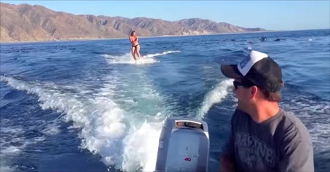She Is Water Skiing Peacefully But Is About To Get The Biggest Surprise