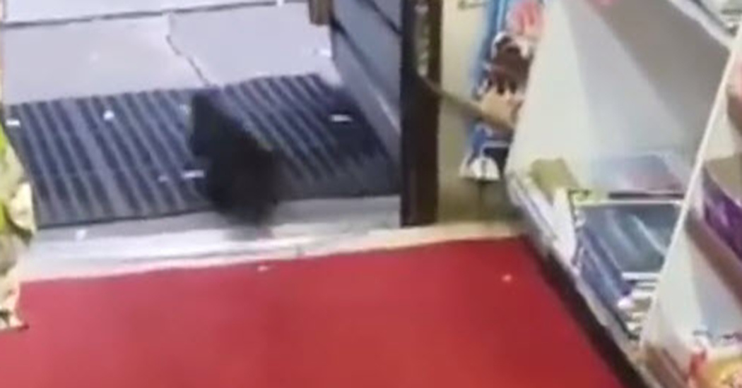 Store Owner Catches A Candy Bar Thief Red Handed Viral Videos Gallery